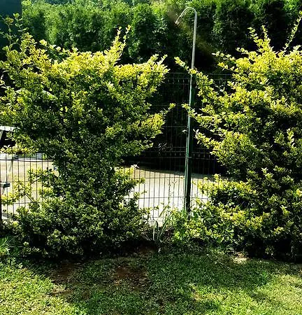 Prázdninový dům Oaza Mira